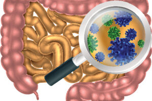 The Gut Microbiome- The Basics