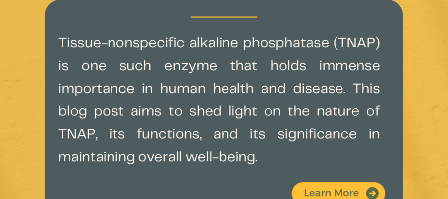 Tissue-Nonspecific Alkaline Phosphatase: Unraveling Its Significance in Health and Disease