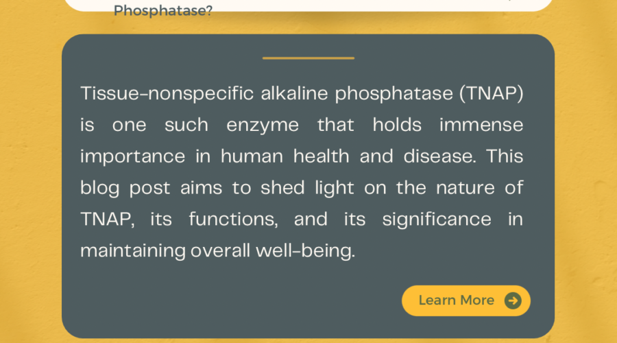 Tissue-Nonspecific Alkaline Phosphatase: Unraveling Its Significance in Health and Disease